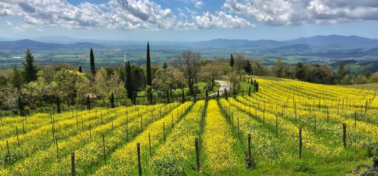 Valdonica Winery Fine Dine & Wine Hotel Sassofortino Exterior foto