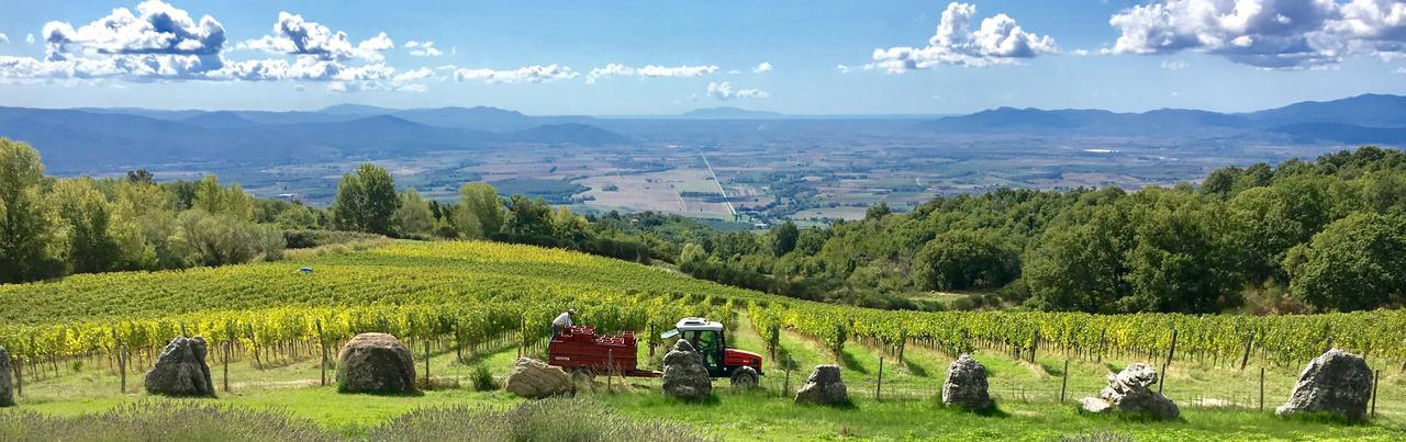 Valdonica Winery Fine Dine & Wine Hotel Sassofortino Exterior foto